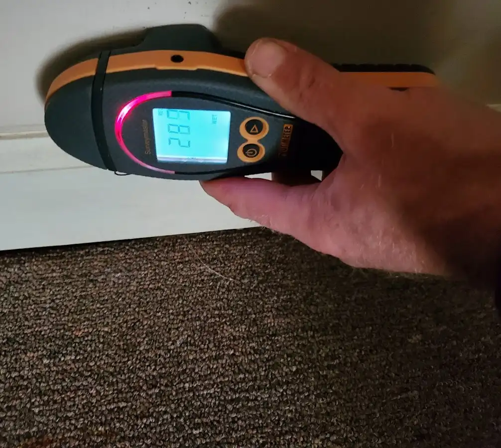 Moisture detection at baseboard during Mold Inspection & Testing in Willard